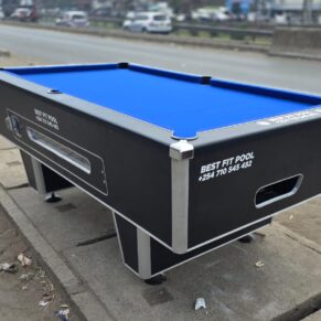 New model imported pool